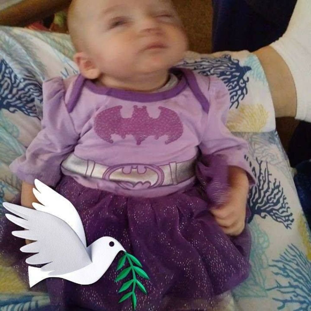 Meet your Posher, Sherrie